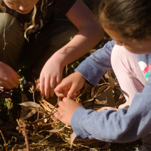 The wonder of nature and storytelling!